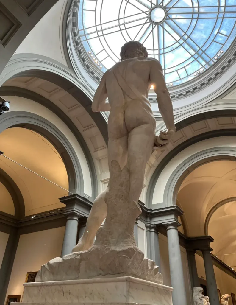 Different angles of the statue of David